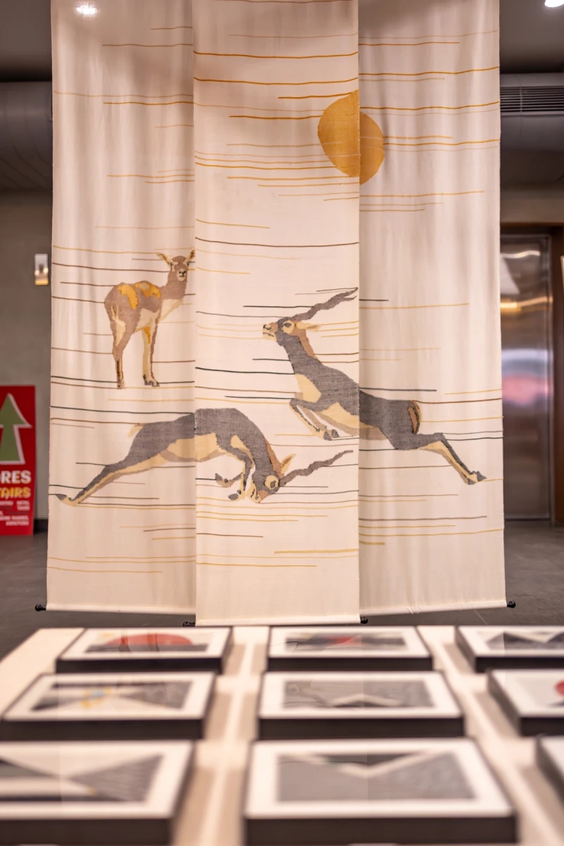 Desert Black Buck Scrolls